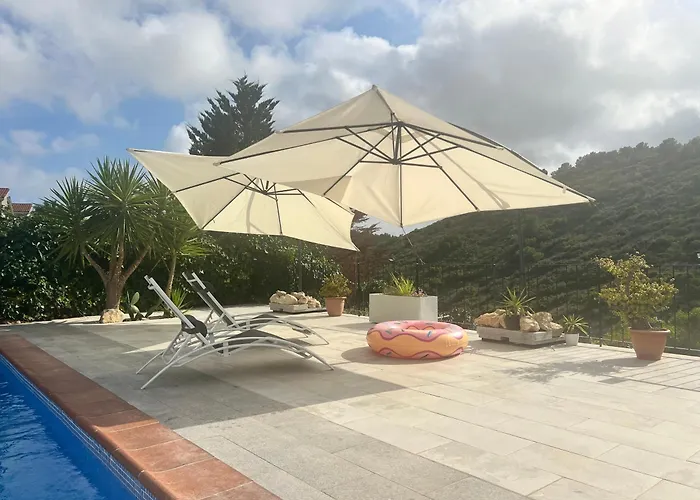 Estudio Nuevo Zen