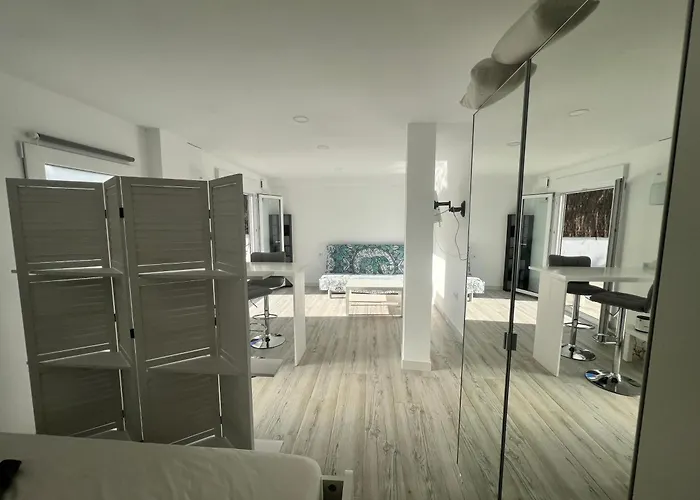Estudio Nuevo Zen